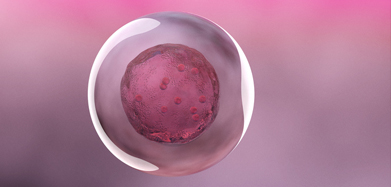 Illustration representing embryo culture in the laboratory