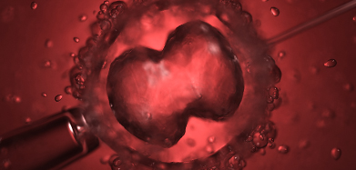 Illustration representing intracytoplasmic sperm injection
