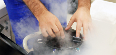 Cryogenic storage of frozen eggs at Abha Surgy