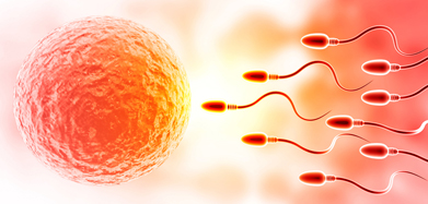 Illustration representing sperm collection for ICSI