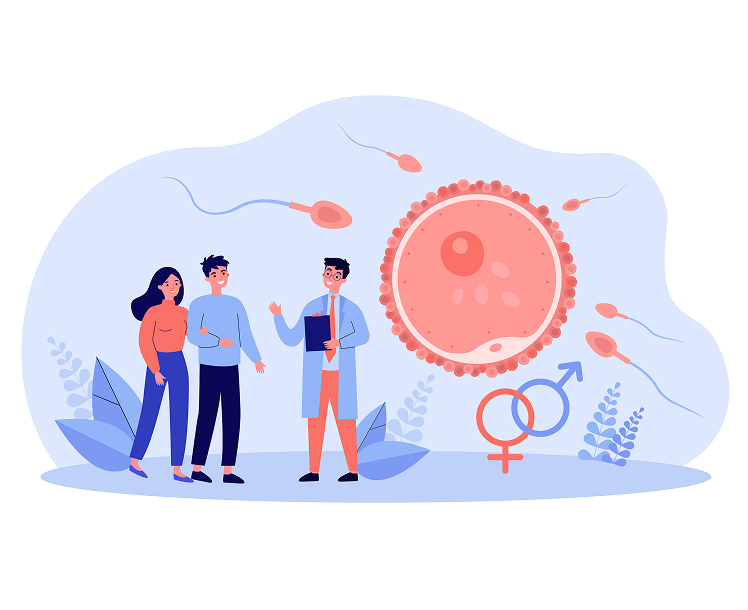 A couple consulting a fertility specialist beside an illustration of sperm approaching an egg