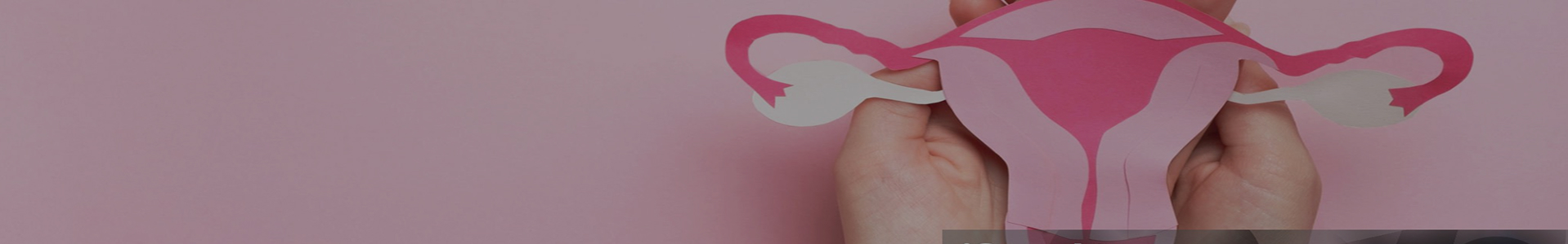 Paper-craft anatomical model of the uterus held in hands against a soft pink background