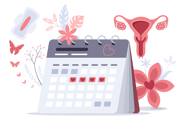 Illustration of menstrual care — calendar, pad, flowers and a uterus diagram