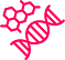 DNA helix representing the first trimester