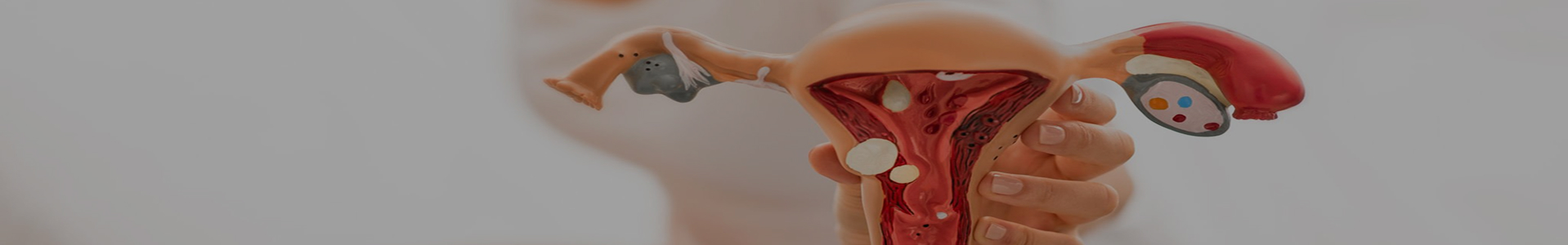 A pair of hands gently cradling a paper-craft anatomical model of the uterus and ovaries on a soft pink background, with a soft ultrasound scan motif behind