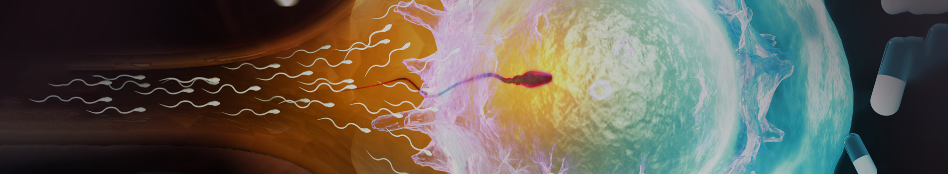 Laboratory setting representing in vitro fertilisation and embryology care