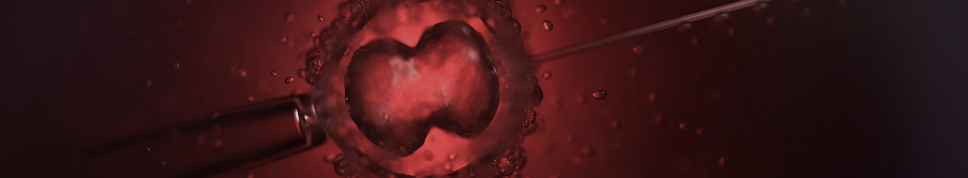 Embryo transfer and blastocyst culture at Abha Surgy Centre