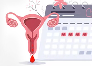 Illustration of the uterus beside a menstrual calendar